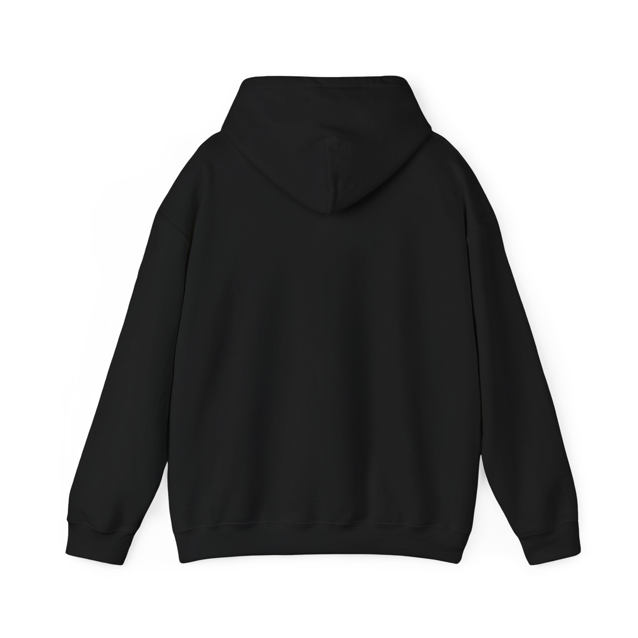 Argument Survivor Hoodie